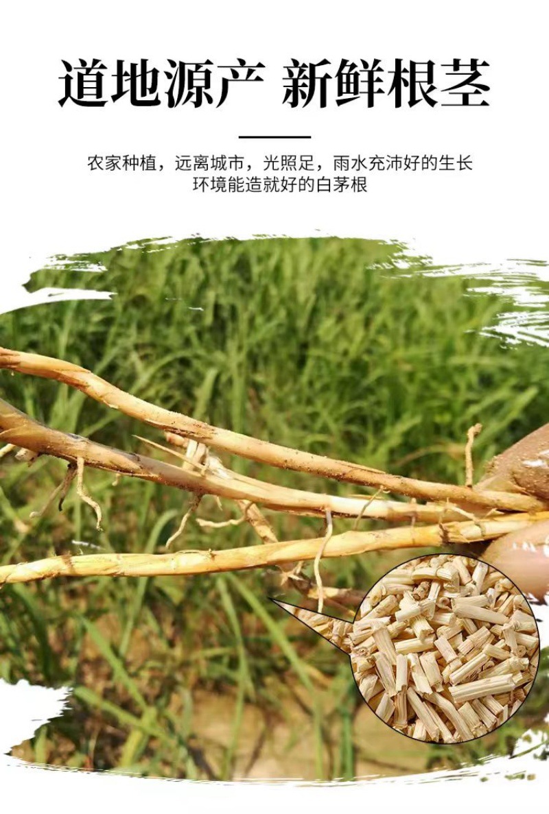 Bai Mao Gen (Imperata cylindrica) — Dried Cogongrass Rhizome, Food Herb for Tea & Soup overview