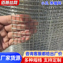 定制小孔养殖网防鼠防蛇镀锌钢丝网家禽养殖防盗窗防坠养殖网