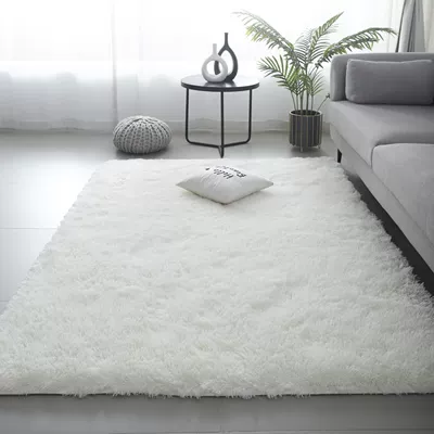 Thick Carpet for Bedroom, Car Carpet