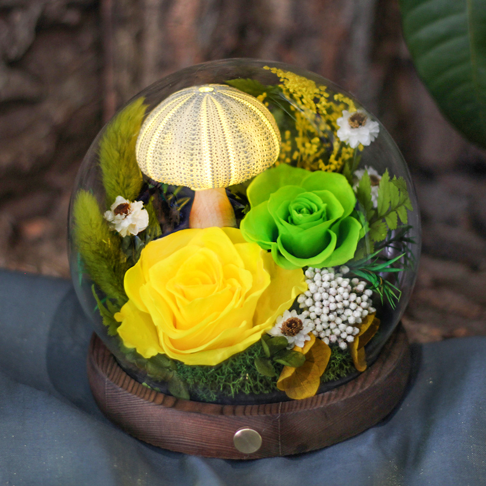 Amazon con flor eterna ligera cubierta de vidrio esférico terminado rosa flor eterna Xinghai Día de la madre Regalo de San Valentín