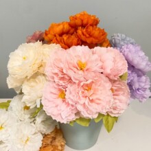 �羳���R�d7�^���mĵ�����滨�����ͮ���c�ҾӔ[���zӰ�����b�