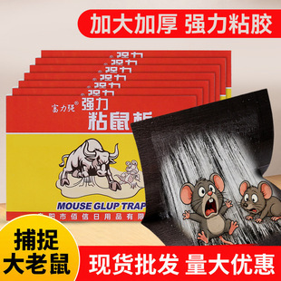 �N���Ӻ��̖մ�z����A�S�����l����ճ����ճ��岶�������o��