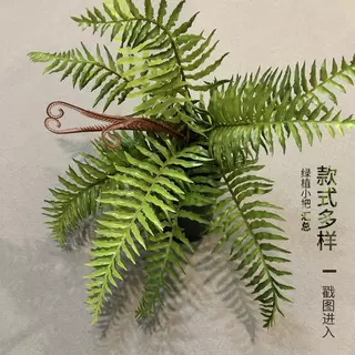 仿真手感蕨类植物波斯草蕨草插地造景装饰小绿植批发 植物墙配材