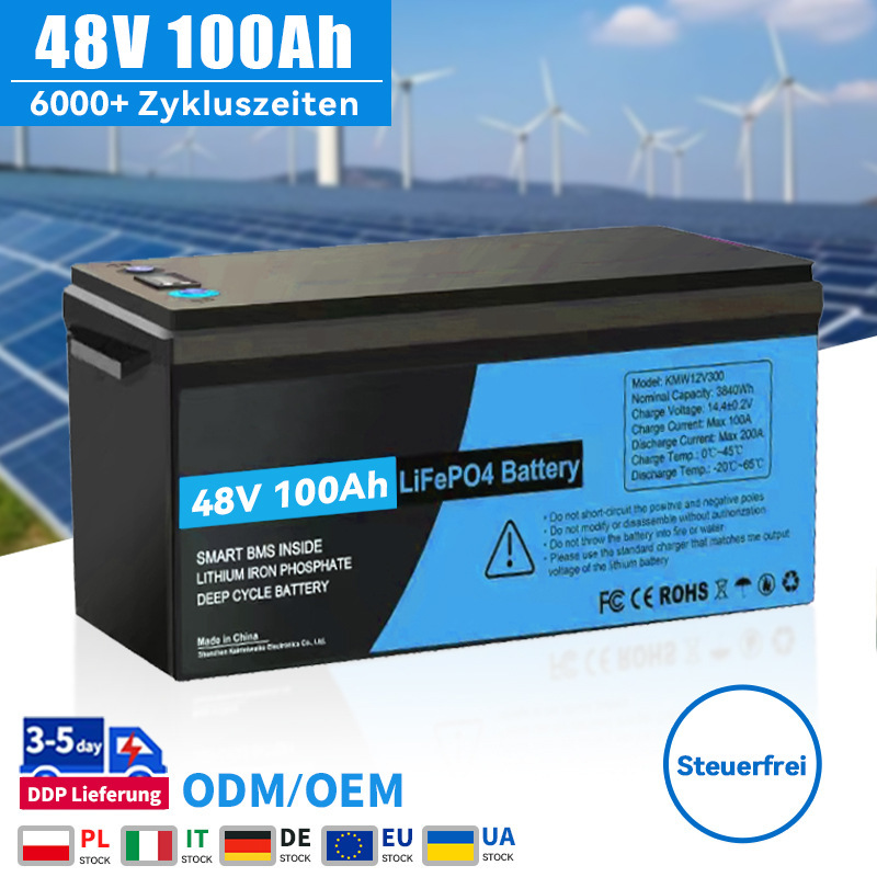 48V 100Ah Lithium Iron Phosphate Battery Pack for Camping