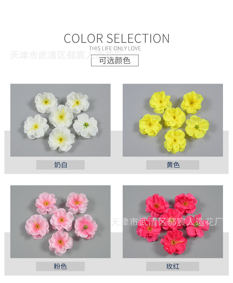 详情_02.jpg