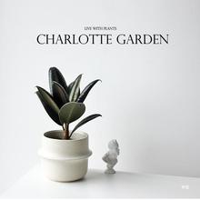 Charlotte ڽƤ ŷֲ̨ȩֲ׻