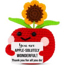 ��Ʒ�羳���R�d���N�ֹ� Crochet Positive apple �h��ë����ż��