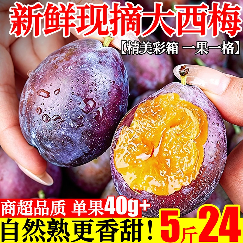 Authentic fresh prunes, fresh fruit from France and Xinjiang, freshly picked and shipped, crisp and sweet, in season, whole box of plums 2.5kg D Authentic fresh prunes, fresh fruit from France and Xinjiang, freshly picked and shipped, crisp and sweet, in season, whole box of plums 2.5kg D