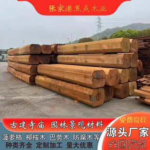 �����ں���ľ����ľ�A�� �Ž��R���� ����ͥԺľ�Y����¡ľ����