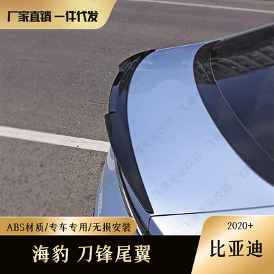 Fixed wind wing Byd Seal Special Rear Wings