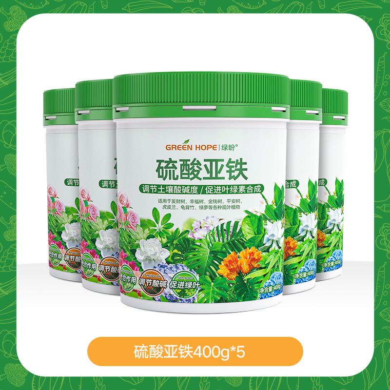 5통 [가성비 좋은 팩]