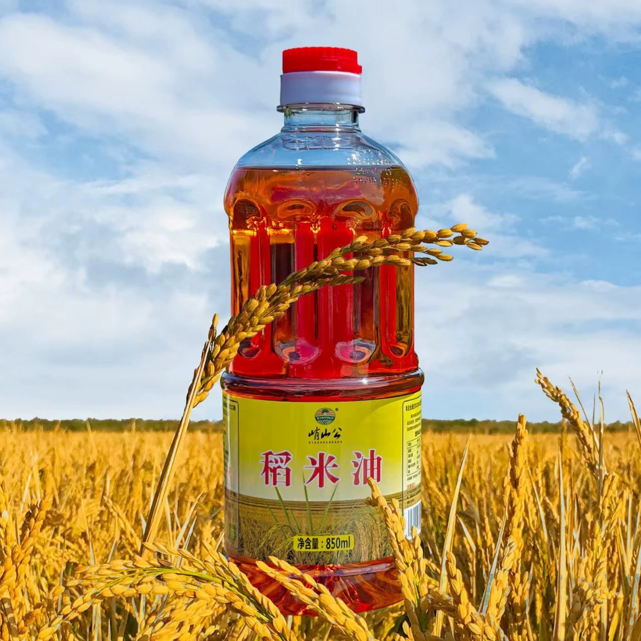 Qianshan Gong рисовое масло 850 мл бочка семейное льняное семя Камелия оливковое масло Кейтеринг супермаркет оптом