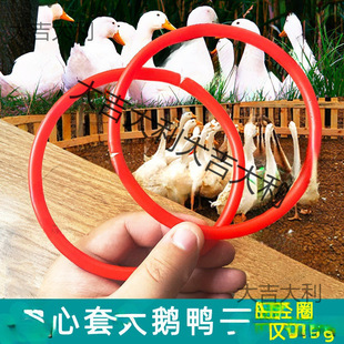 Trendy Plastic Rings for Temple Fairs, Hollow Plastic Rings, Lightweight Rings, Circular Rings, Street Stall Rings, Neutral Rings with Connectors