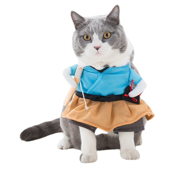 Pet transforming dogs and dogs funny and funny upright standing…