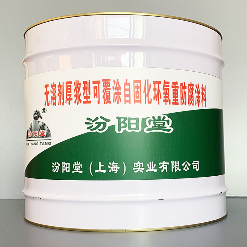 无溶剂厚浆型可覆涂自固化环氧重防腐涂料、性能好、简便、快捷!