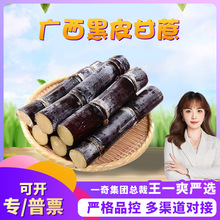【严选】广西黑皮甘蔗 代发3斤大块段新鲜紫皮柑蔗当季孕妇水果