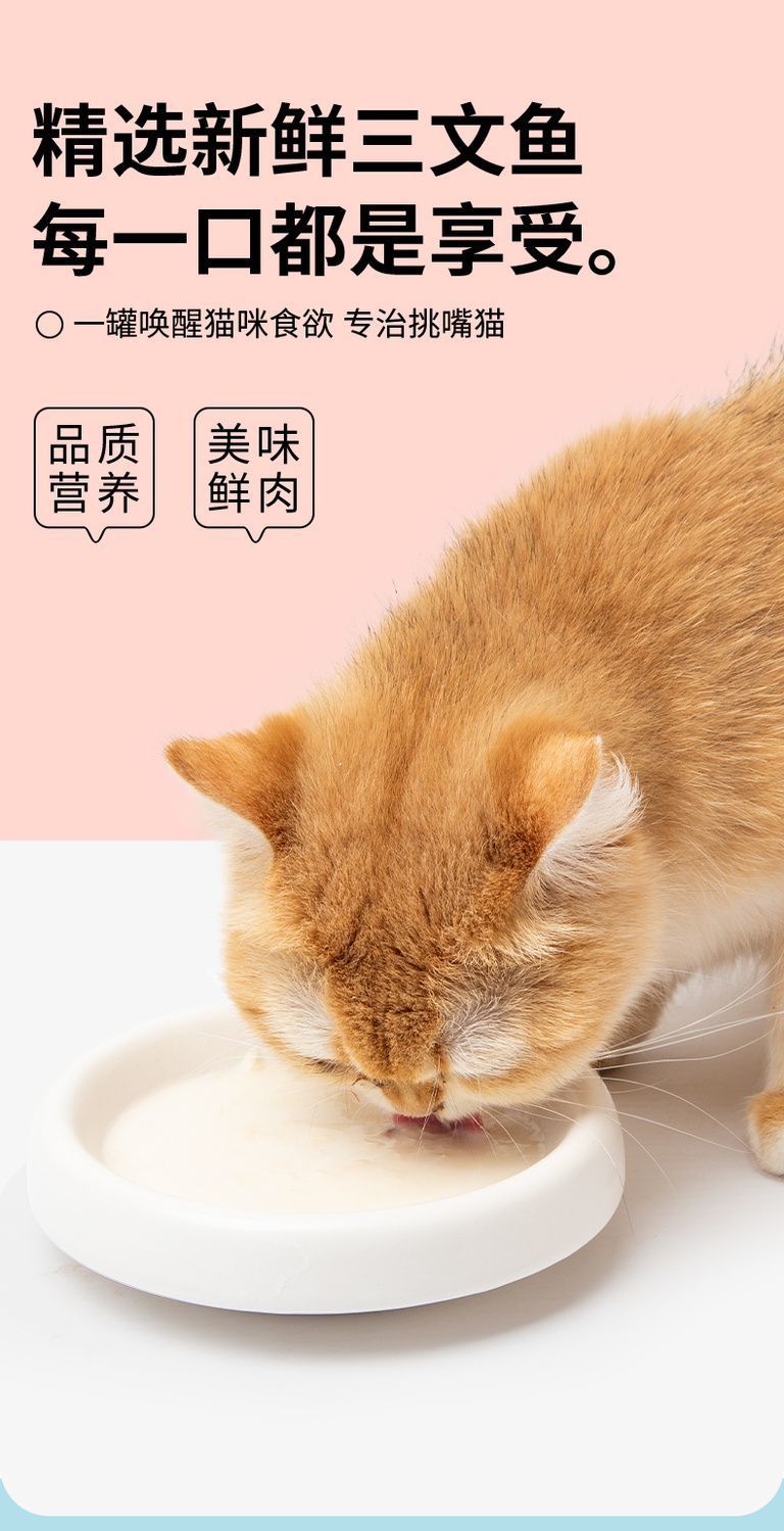 2868e3d0-d3bf-469a-99a7-d6aa791be6dd.jpe