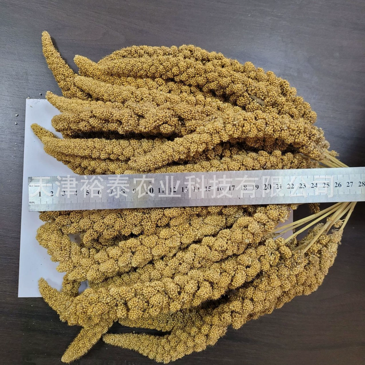 8 дюймов желтого зерна