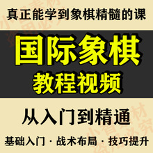 幼小学生高级教材教程儿童入门少儿视频国际象棋初级教学中级课程