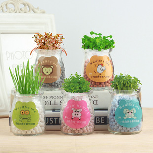 Children's Potted Micro-Landscape Mini Plant Creative Negative Ion Desktop Ornaments Office Grass Seed Bonsai