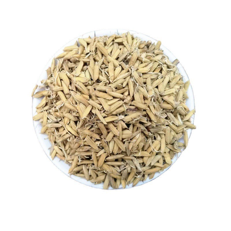 Dried Rice Sprout Dao Ya Whole Sprouted Grain Raw Herb for Decoction and Tea in use