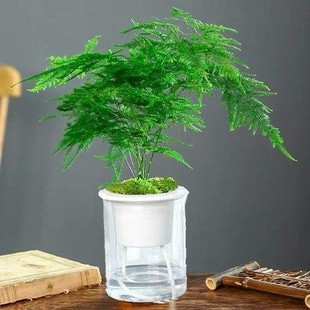 ���Iһ����һ�衿����û���B�lؔ��G�}�҃ȾGֲ������������