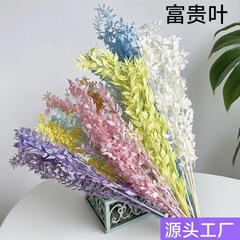 富贵叶干花永生花真花束DIY花材玻璃罩跨境富贵花仿真艺术花