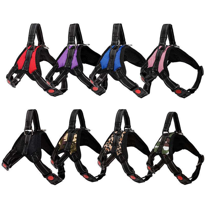 Set de accesorios y juguetes para mascotas, liquidación image 18
