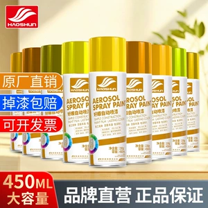Haoshun gold color self-painting 400ml factory direct 18K gold-plated oily metal hand paint gold wholesale