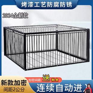 ���������ӻ\����ֻ�Ԅ���피��ò�׽����\�M����ľ�|