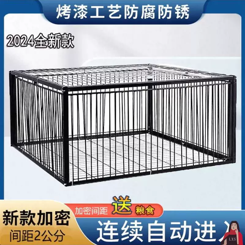 Клетка для защиты от голубей для домашнего использования, автоматическая крыша-ловушка для использования на улице, деревянная клетка, в которую нельзя входить и выходить.