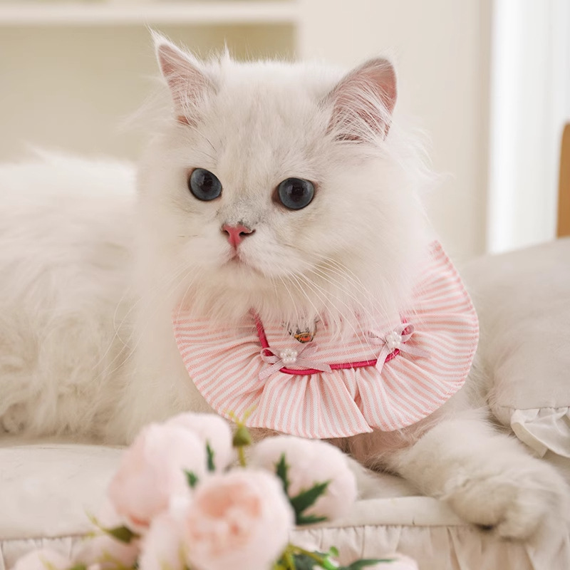 Disney Mickey serie Daisy toallas de saliva gatito arco rosa lindo围兜 ajustable accesorios para perros