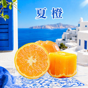 �����ĳ� ���l���l3/5/9���������S����ե֭���ļ���֭���rˮ��