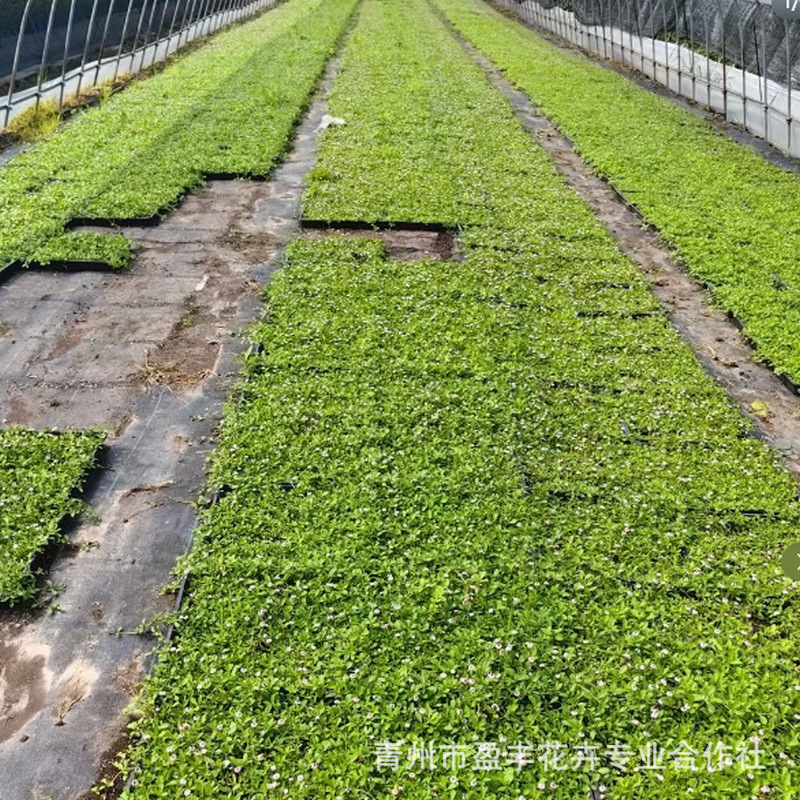 微信图片_20250430162528_1