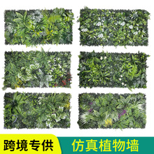 ���R�d�羳50&times;100�����������ֲ����m�����⠝���b��̨