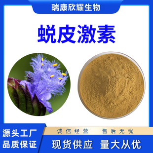 ͑Ƥ����50%¶ˮ����ȡ��Beta-͑Ƥ��ͪÓƤ���جF؛��Ҏ��1Kg