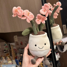 jellyȤζ�W��ɯ�m����ż�Gֲ����ϵ��ë�q��߷��滨�����жY��