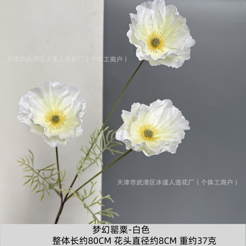 판타지 양귀비(잎 없음)