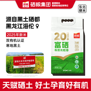 XLJT���Z�����ЙC�L�������2025���������ڬFĥ�����׹ٷ���Ş��