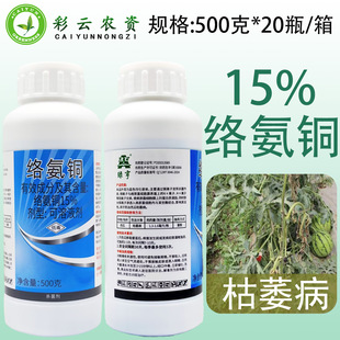 ���G��15%�j���~���Ͽ�ή�������������砀����������������