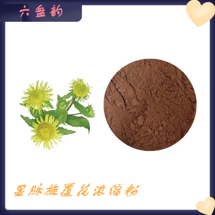 显脉旋覆花浓缩粉全水溶 80-120目过筛 功能性食品原料可试样现货