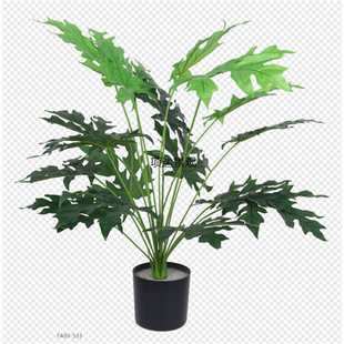 ����ľ���~�ѿ���Ƥ��ϲ�������ԼپGֲ�Ҿ��b��쾰�[��