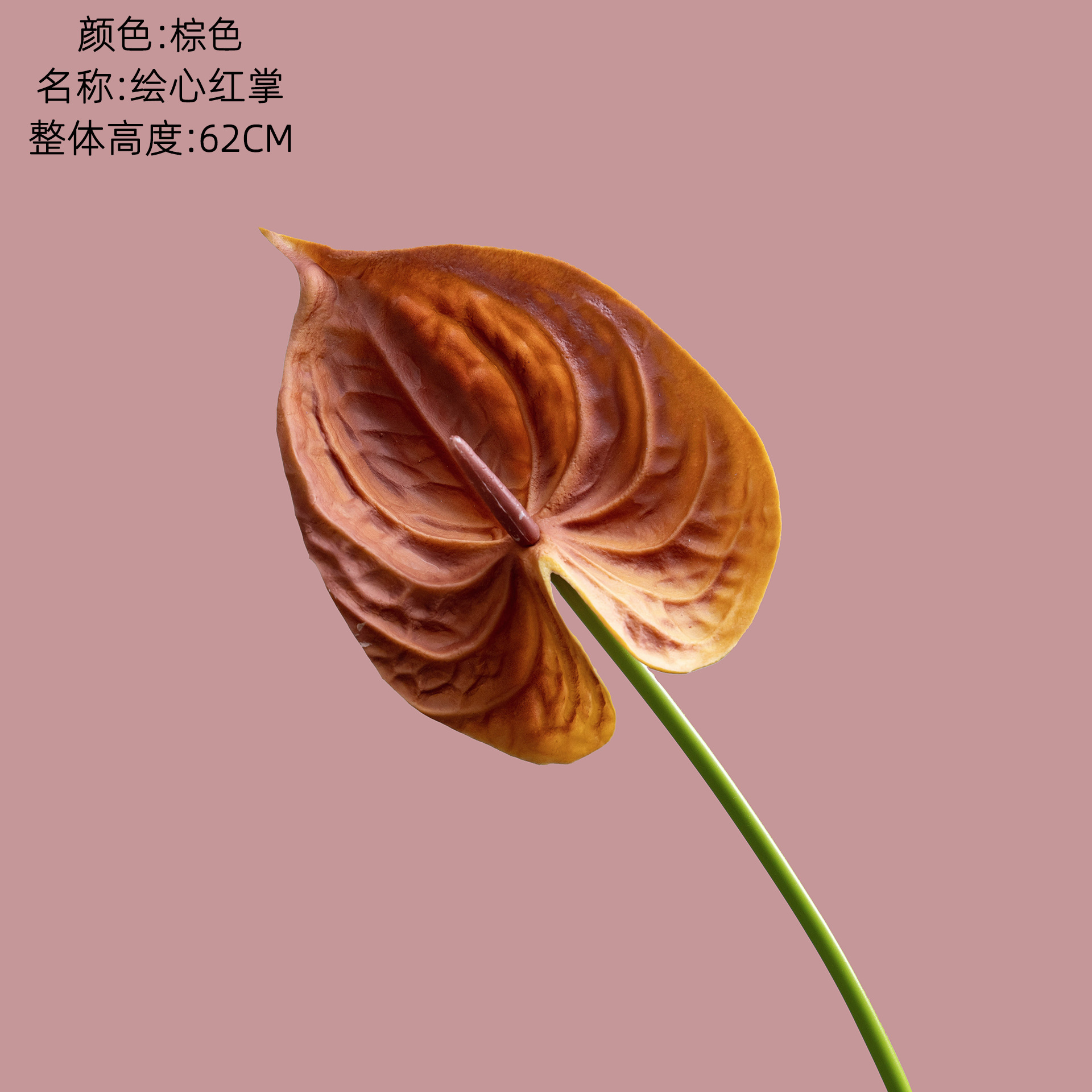 갈색