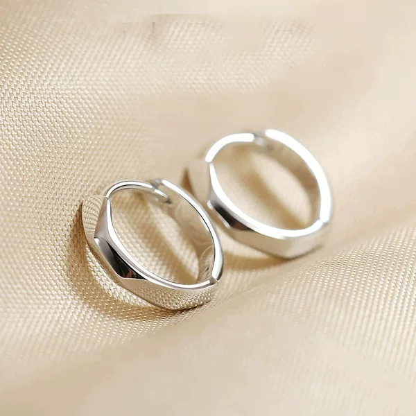 Earrings for Women, Solid Hoop Earrings, High-End Earrings, Plain Hoop Earrings, Simple and Versatile Earrings, 2025 New Style
