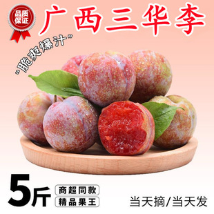 ���ڏV�����A�����rˮ��5�ﮔ���خa���Ӽt�����ƴ�����ˬ����