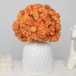 С�r�շ��滨 5���r�ռҾӿ͏d�Ƶ��b�c����������СҰ�ռٻ�