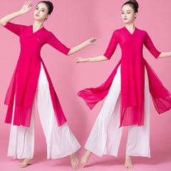 Dance silk dress classical dance ethereal Chinese-style performance costume women's body rhythm clothing women's practice suit loose long-sleeved top