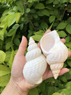 ��Ȼ����ؐ�������ݼľ�з��Q���~���쾰��̨�b[���Ĕz����