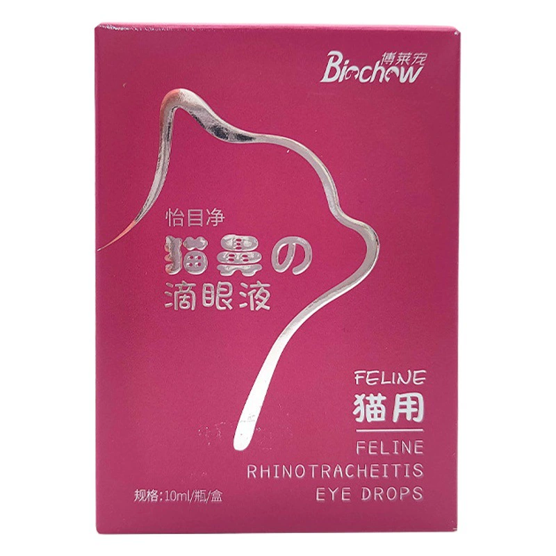 Bolidely Cat использует глазные капли из носа мяу