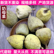 ���l��ĸ����؛��ѬȾ�r�aƷ֧��ș�zș��ԭ��ľ�z�^���Z����ĸ��